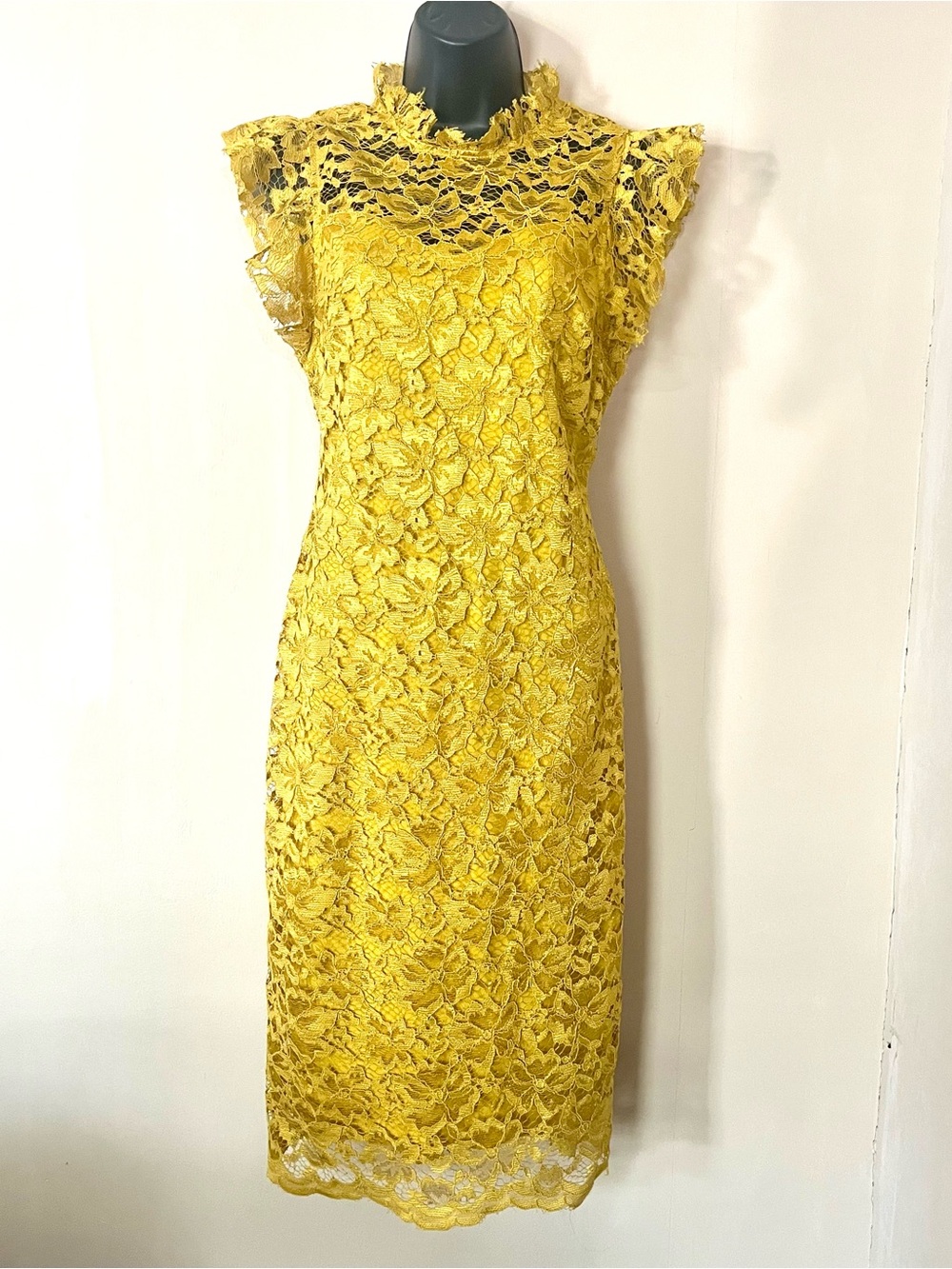 Alexa B Nites 8 mustard lace dress fall forest fairy yellow knee length